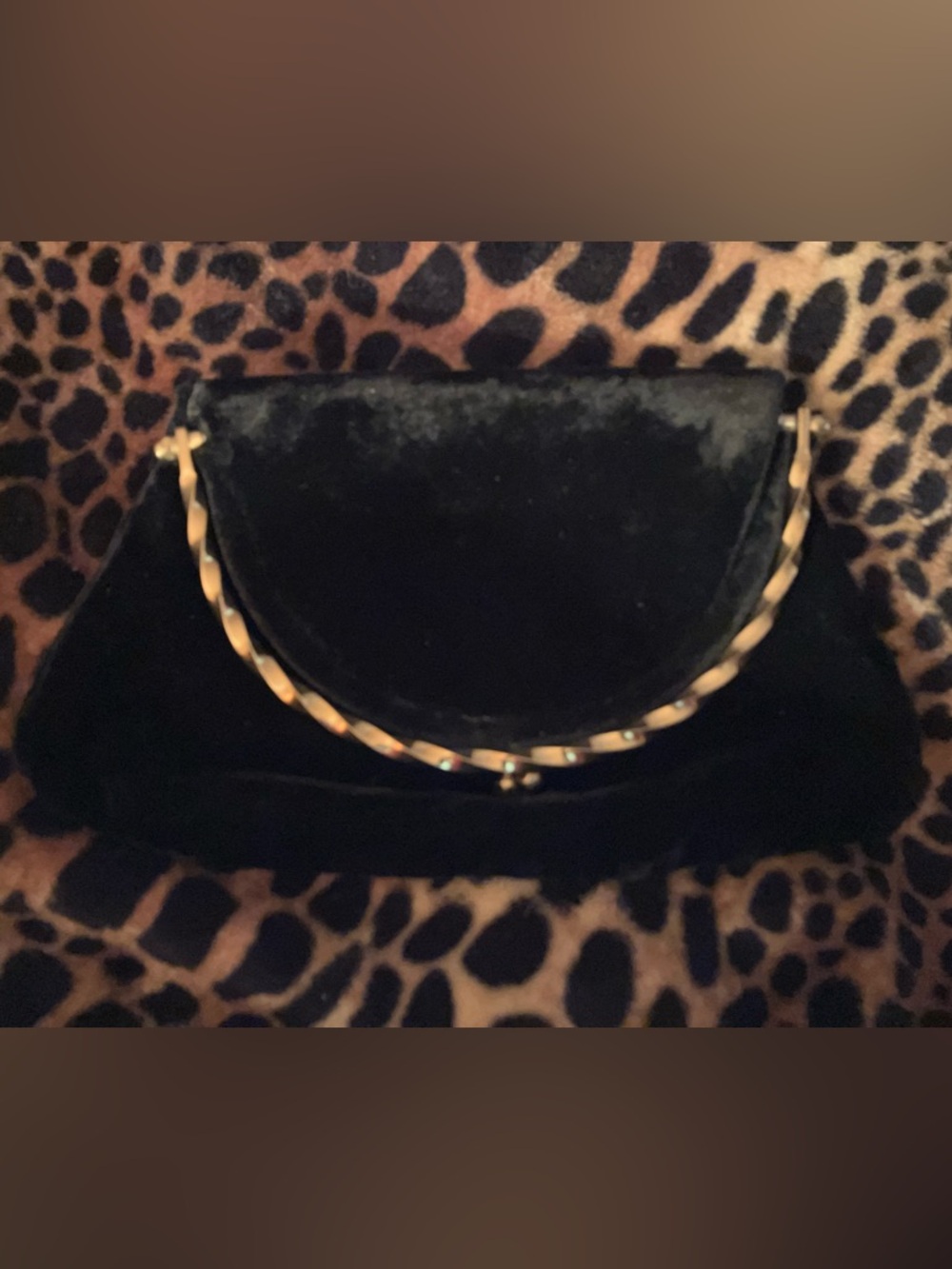 Vintage Velvet Evening 3 Style Choice Purse